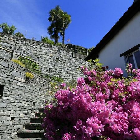 Casa Micheroli Parterre Gordola Eksteriør bilde