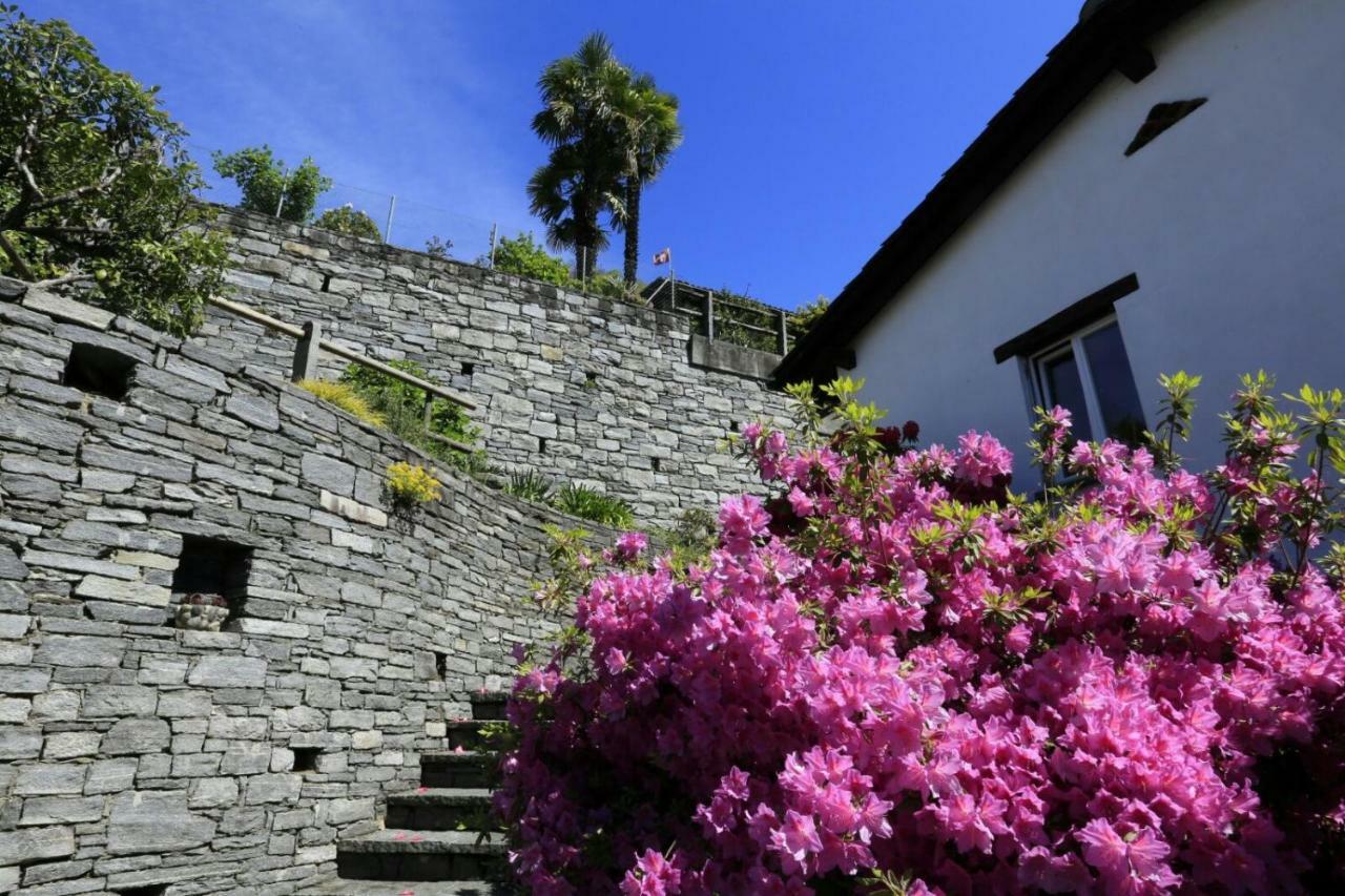 Casa Micheroli Parterre Gordola Eksteriør bilde